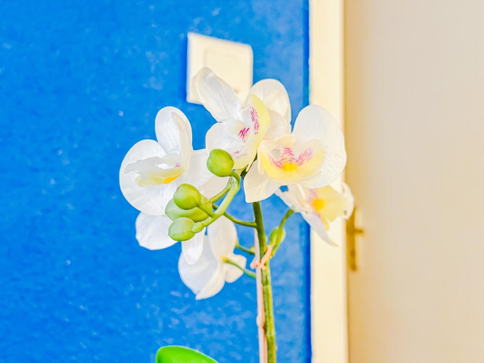 Appartement Cosy Sous Les Toits En Plein Centre-ville